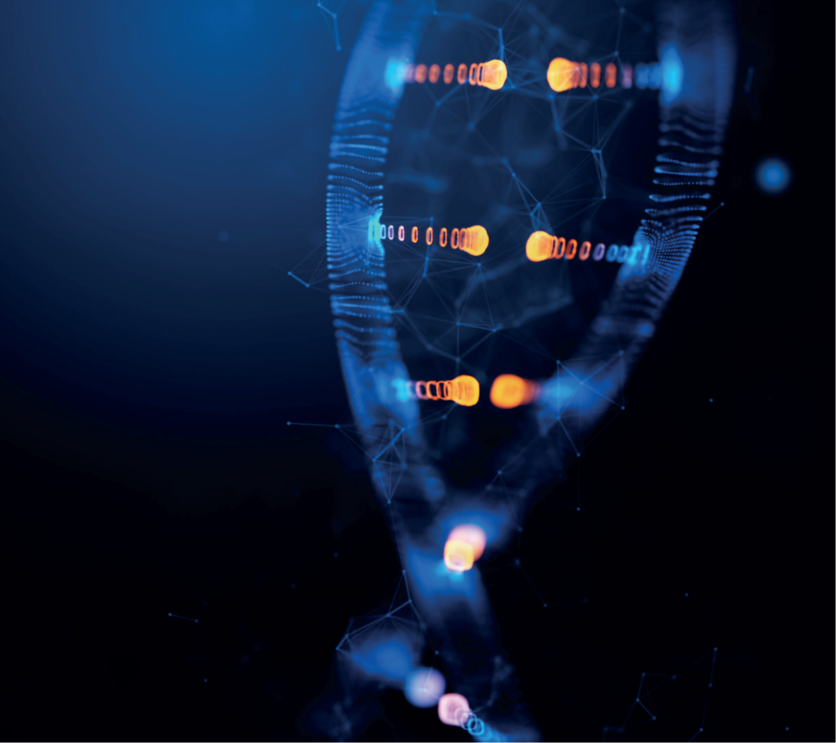 Reverse Body Time Platform